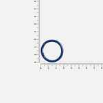 Карабин-кольцо CLAUS, L, синий