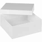 Коробка RECOLLECTION, белая