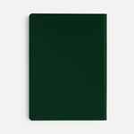 Ежедневник FLEX SHALL NEW, недатированный, зеленый