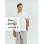 Футболка REGENT 150 коричневая, размер S