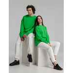 Свитшот унисекс BNC INSPIRE (ORGANIC), зеленый, размер XL