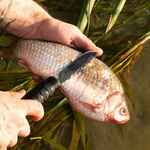 Многофункциональный топор AXE-003, черный