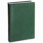 Ежедневник SAGRIN, недатированный, зеленый