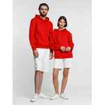 Худи унисекс PHOENIX, красное, размер XS