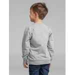 Свитшот TOIMA KIDS 2.0, серый меланж, 6 лет