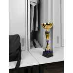 Кубок AWARDEE, большой, синий