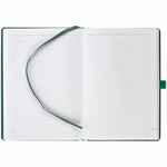 Ежедневник FAVOR GOLD, недатированный, ярко-зеленый