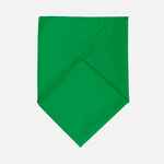 Шейный платок BANDANA, ярко-зеленый