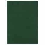 Ежедневник BASIS, датированный, зеленый