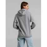 Толстовка с капюшоном SNAKE II серый меланж, размер M