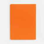 Ежедневник FLEX SHALL, датированный, оранжевый