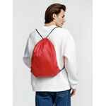 Рюкзак NEW ELEMENT, красный