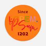 Наклейка тканевая LUNGA ROUND, M, оранжевый неон