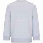 Свитшот детский COLUMBIA KIDS, серый меланж, на рост 96-104