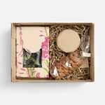 Набор IMMUNI, мед с манго