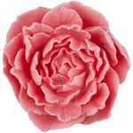 Спа-набор FLORALIA