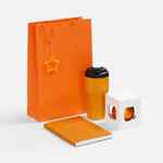 Набор ASTRELA, оранжевый