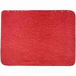 Плед-пончо для пикника SNAPCOAT, красный