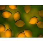 Антистресс «Лимон»