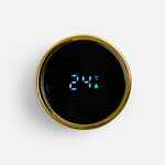 Смарт-бутылка с инфьюзером THERMORY, черная