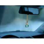 Ароматизатор воздуха FLAVA DELUXE, зеленый чай и черная смородина