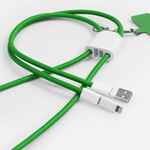 Кабель-ланьярд ENERGYFLEX PRO, зеленый