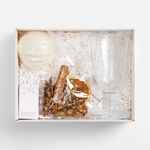 Набор WINETERRA