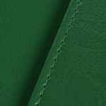 Обложка для паспорта NEBRASKA, зеленая