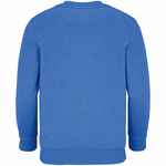 Свитшот детский COLUMBIA KIDS, ярко-синий (ROYAL), на рост154-164