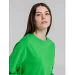 Свитшот унисекс BNC INSPIRE (ORGANIC), зеленый, размер XL