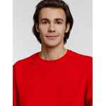 Свитшот унисекс COLUMBIA, красный, размер XS