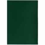 Обложка для паспорта SHALL, зеленая