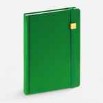 Ежедневник FAVOR GOLD, недатированный, ярко-зеленый
