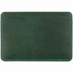 Чехол для карточек INSTREAM, зеленый