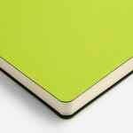 Ежедневник FLEX SHALL NEW, недатированный, светло-зеленый