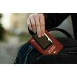 Мультитул DEXTRO, серебристый