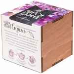 Набор для выращивания «Экокуб LITE», сирень