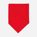 Шейный платок BANDANA, красный