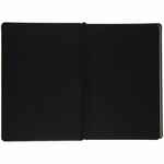 Ежедневник ALANIS, недатированный, черный с зеленым