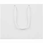 Пакет бумажный AMPLE PLUS S, белый