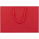 Пакет бумажный AMPLE PLUS M, красный