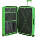 Чемодан BUTTERFLY L, зеленый