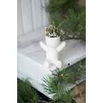 Набор для выращивания FUNKY KID