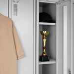 Кубок AWARDEE, малый, красный