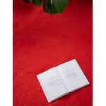 Плед для пикника SOFT & DRY 2, красный