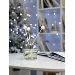 Диффузор ароматический DREAM STICKS