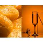 Бокал для шампанского ISABELLA