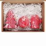 Набор KNITEAM, красный