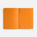 Ежедневник DOPPIO, недатированный, синий с оранжевым
