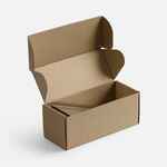 Стела CHALLENGER